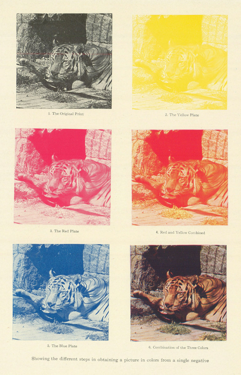 Colour picture from three plates. Negative Yellow Red Blue Combined 1907 print